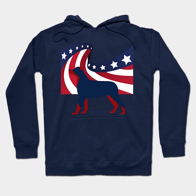 Independence day- US flag Hoodie by CHARNISTA STUDIO